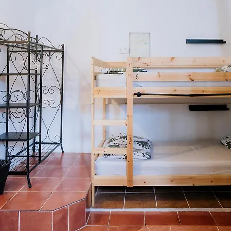 Endless Summer (adults Only) *