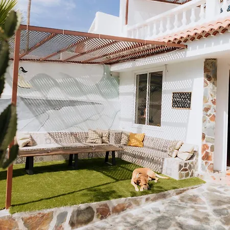 Endless Summer (adults Only)