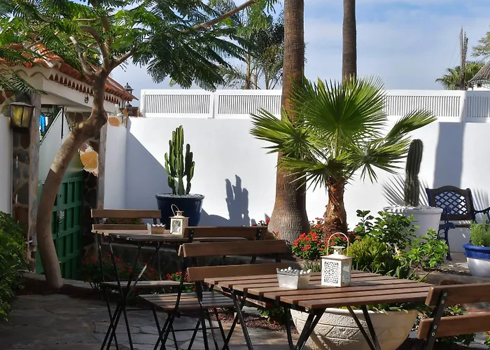 Endless Summer (adults Only) *