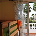 Endless Summer (adults Only) Hostel